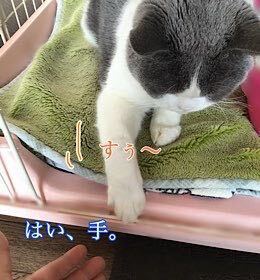 069D53E6-8ACB-42A1-805F-5A3DB933D699.jpeg