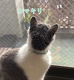 2FE977F4-78C8-4435-9444-D993C19BFA5B.jpeg