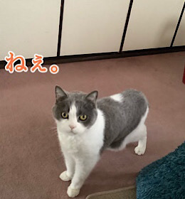 59E7131E-E4CC-483F-9C0B-1681F0F101D1.jpeg
