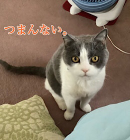 CD56D4A6-C627-4A71-A987-66DD51E66338.jpeg