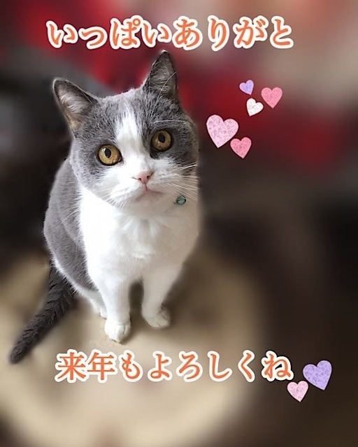 CFF19A81-633E-4C7D-8374-C4A5C8AA603D.jpeg