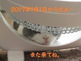 IMG_2786.jpg