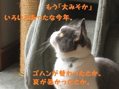 IMG_4874.JPG