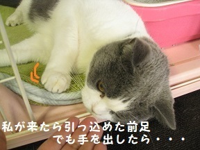 IMG_9711.jpg